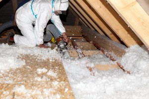 Fúkaná izolácia, fukana izolacia, izolácia knauf, izolacia knauf, fukana izolacia knauf, tepelná izolácia, tepelná ochrana budov, tepelna ochrana budov, zateplenie, izolačný materiál, izolacny material, zvuková izolácia, zvukova izolacia